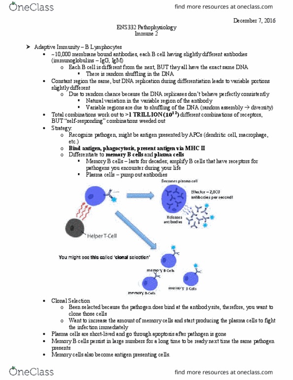 ENS 332 Lecture Notes - Lecture 22: Antigen, Genome Editing, Immunoglobulin G thumbnail