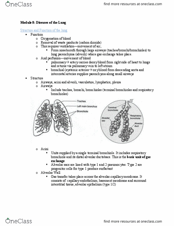 Pathology 2420A Lecture Notes - Lecture 8: Sepsis, Legionella, Circulatory System thumbnail