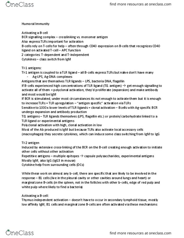 Microbiology and Immunology 3300B Lecture Notes - Lecture 20: Immunoglobulin A, Chemokine, Apoptosis thumbnail