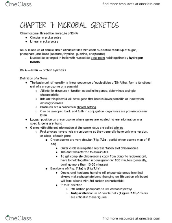 01:119:131 Lecture Notes - Lecture 7: Plasmid, Semiconservative Replication, Retrovirus thumbnail