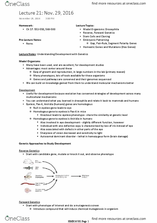 HMB265H1 Lecture Notes - Lecture 21: Adult Stem Cell, Somatic Cell Nuclear Transfer, Aniridia thumbnail