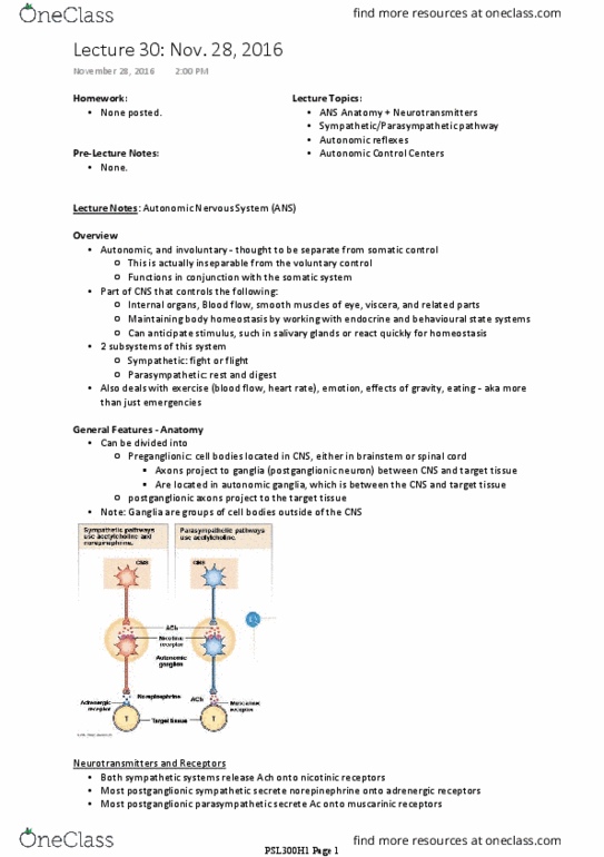 PSL300H1 Lecture Notes - Lecture 30: Autonomic Nervous System, Postganglionic Nerve Fibers, Sympathetic Nervous System thumbnail