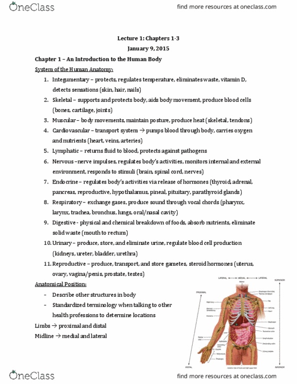 Anatomy and Cell Biology 2221 Lecture Notes - Lecture 1: Serous Membrane, Smooth Muscle Tissue, Oxidative Phosphorylation thumbnail