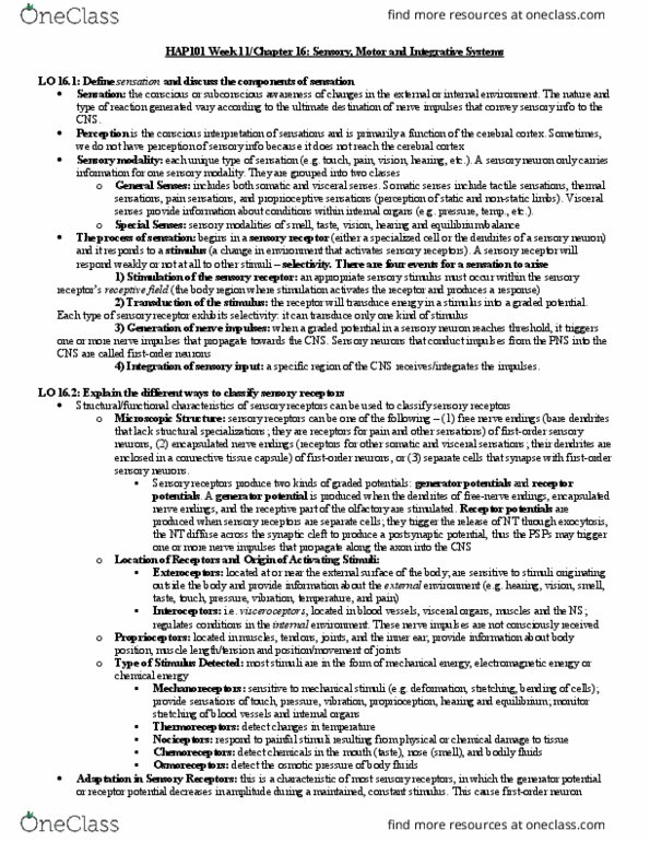 Anatomy and Physiology HAP101 Chapter Notes - Chapter 16: Somatic Nervous System, Sensory Neuron, Stimulus Modality thumbnail