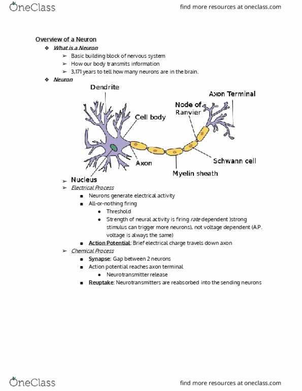 PSY 100 Lecture Notes - Lecture 3: Axon Terminal, Reuptake, Action Potential thumbnail