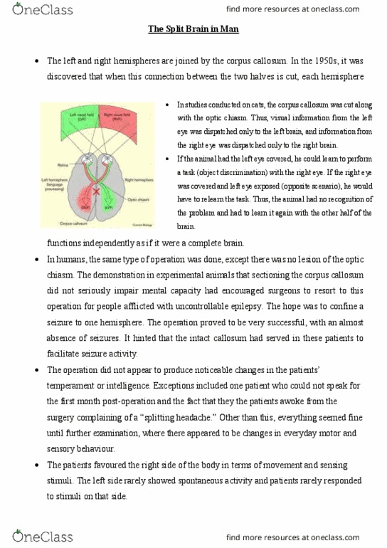 PSYC 311 Chapter Notes - Chapter 5: Optic Chiasm, Lisa Lopes thumbnail