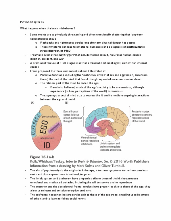 PSYB65H3 Chapter Notes - Chapter 16: Traumatic Brain Injury, Transcranial Magnetic Stimulation, Electrical Brain Stimulation thumbnail