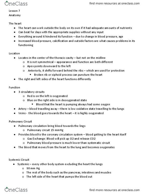 Health Sciences 2300A/B Chapter Notes - Chapter 16: Heart Valve, Superior Vena Cava, Aortic Valve thumbnail