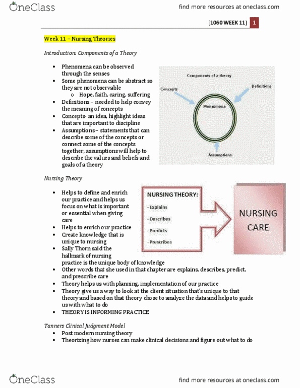 Nursing 1060A/B Lecture Notes - Lecture 11: Nursing Theory, Intentionality, Alternative Medicine thumbnail