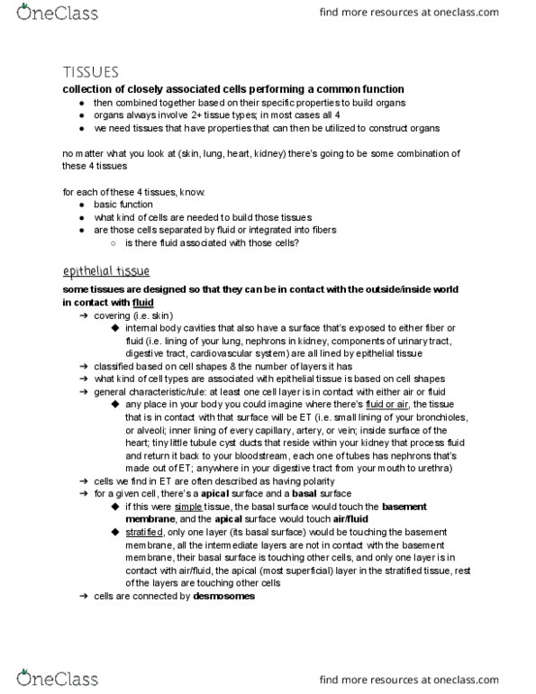 01:119:127 Lecture Notes - Lecture 5: Simple Squamous Epithelium, Tight Junction, Desmosome thumbnail