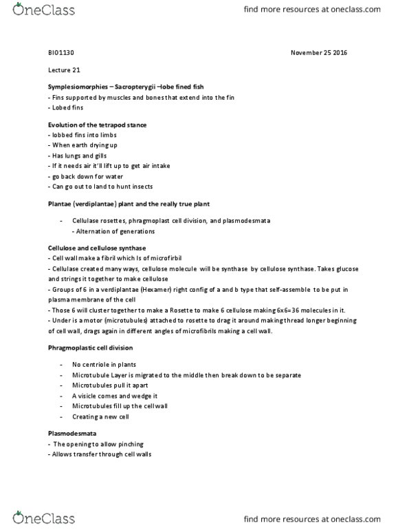 BIO 1130 Lecture Notes - Lecture 21: Phragmoplast, Cellulase, Plasmodesma thumbnail