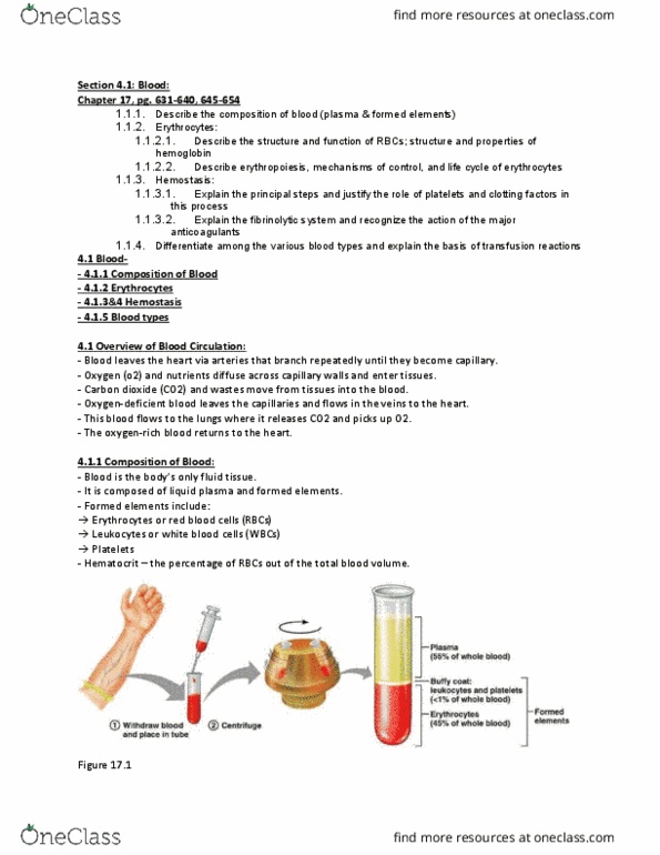 ANP 1105 Lecture Notes - Lecture 4: Polycythemia Vera, Pernicious Anemia, Hemolytic Anemia thumbnail