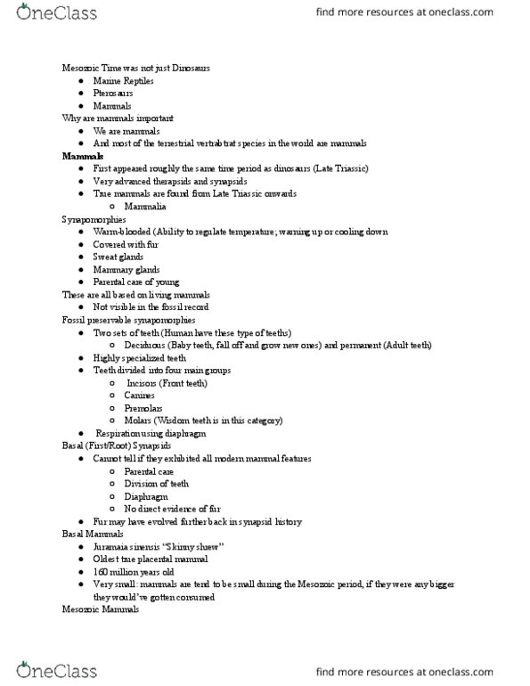 GEOL 008 Lecture Notes - Lecture 14: Juramaia, Wisdom Tooth, Vintana thumbnail