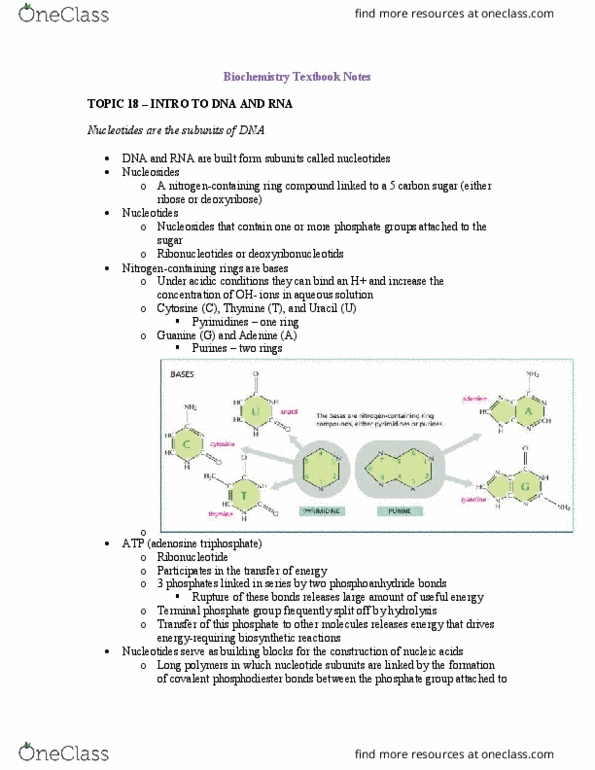 Biochemistry 2280A Chapter Notes - Chapter All: Dna Mismatch Repair, Regulatory Sequence, Dna Replication thumbnail