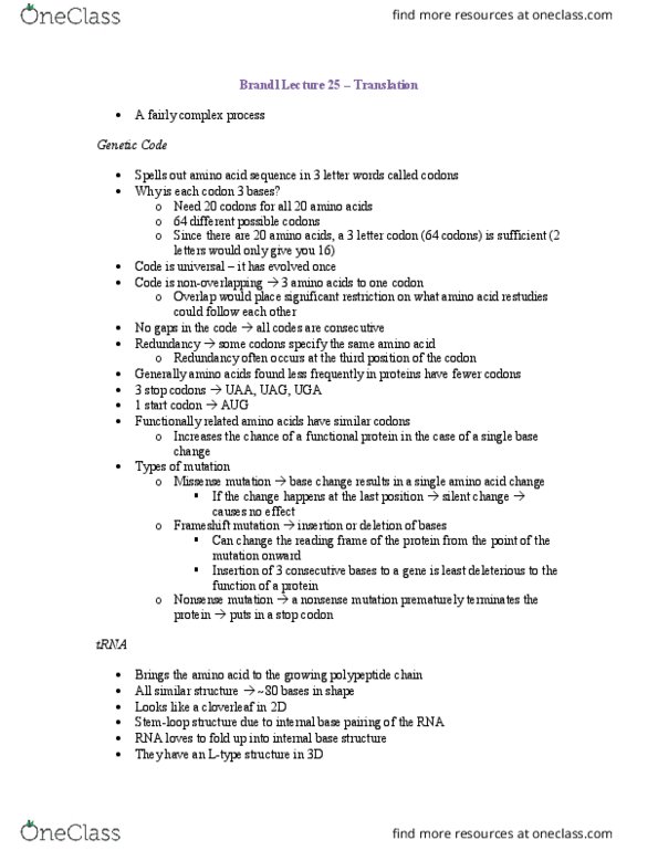 Biochemistry 2280A Lecture Notes - Lecture 25: Aminoacyl Trna Synthetase, Nonsense Mutation, Missense Mutation thumbnail