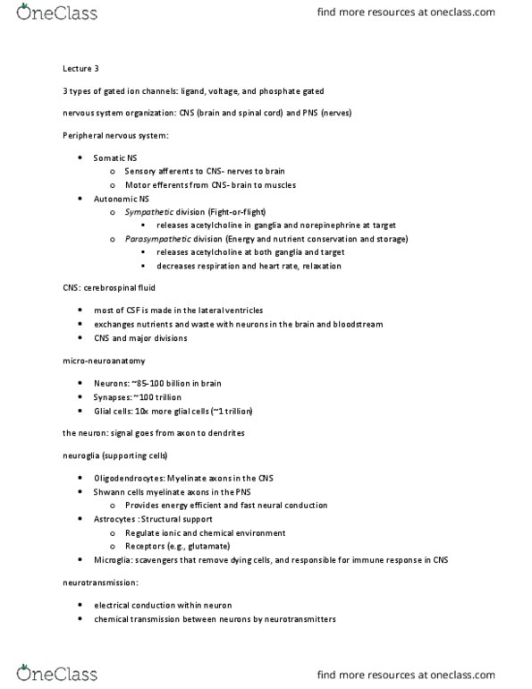 PSY 214 Lecture Notes - Lecture 3: Voltage-Gated Potassium Channel, Resting Potential, Axon Hillock thumbnail