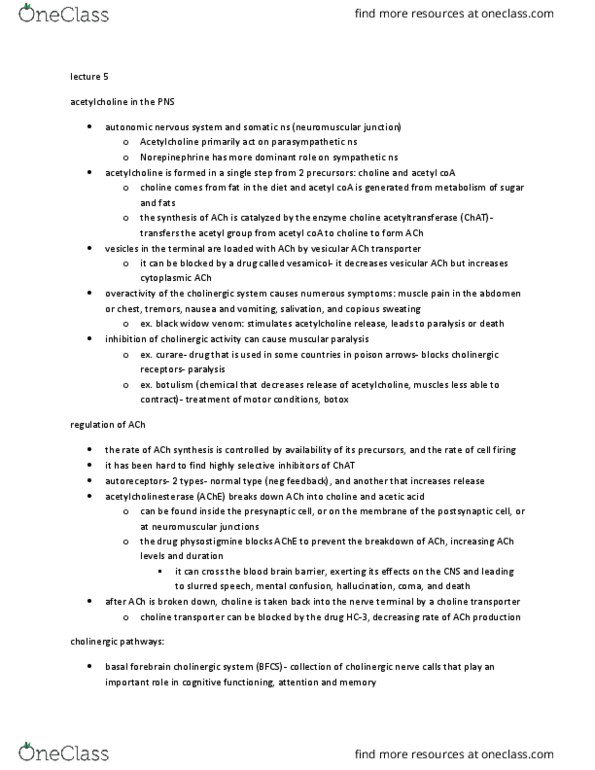 PSY 214 Lecture Notes - Lecture 5: Choline Acetyltransferase, Acetyl-Coa, Neuromuscular Junction thumbnail