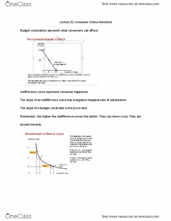 ECON 2010 Lecture Notes - Lecture 31: Budget Constraint, Indifference Curve, Substitute Good thumbnail