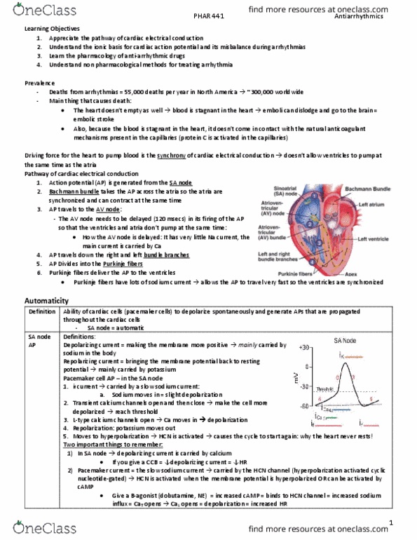 PHAR 441 Lecture Notes - Lecture 12: Ablation, Vagus Nerve, Pharmacology thumbnail