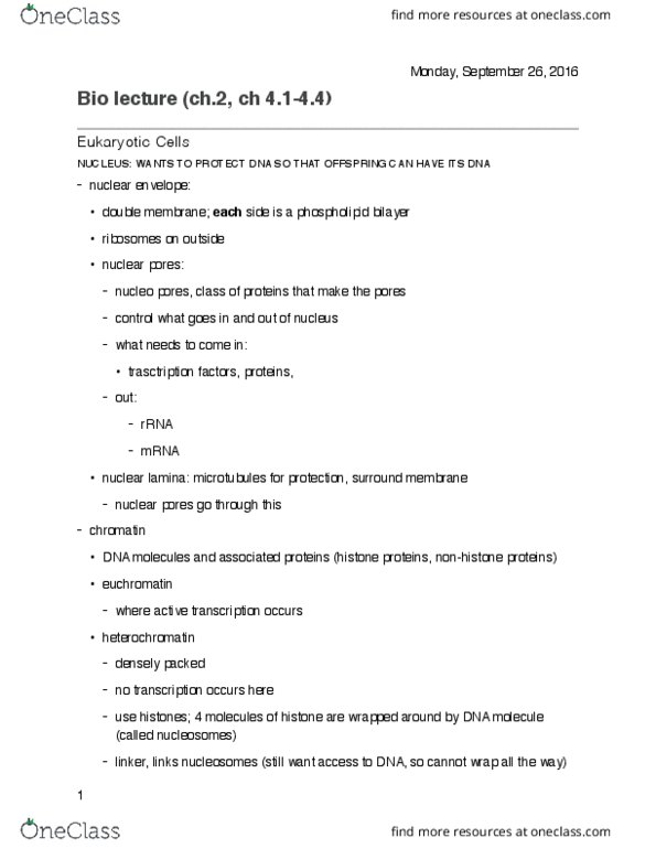 BIOL 1000 Lecture Notes - Lecture 3: Chromatin, Cellular Respiration, Nuclear Pore thumbnail