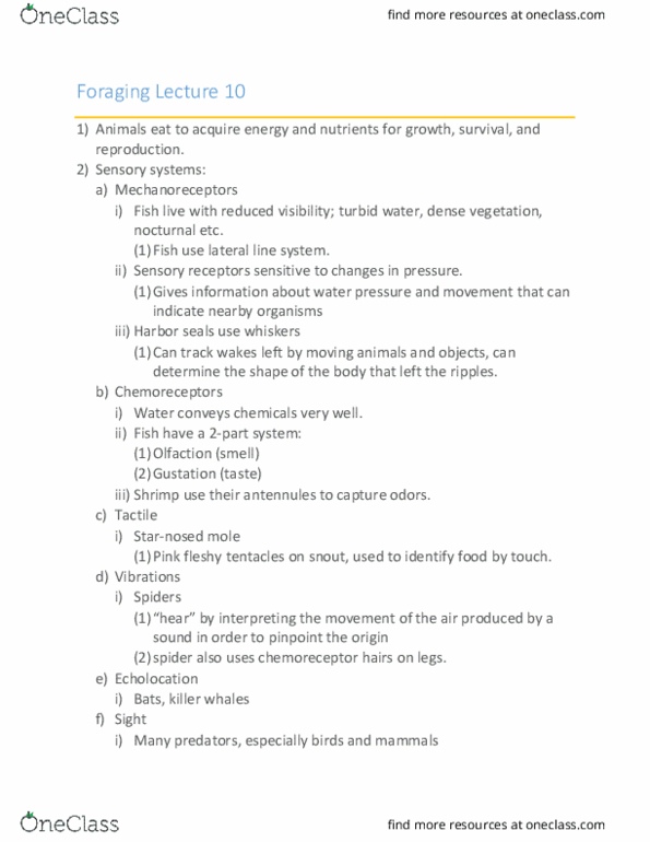 INTEGBI 31 Lecture Notes - Lecture 10: Sensory Neuron, Olfaction, Sensory System thumbnail