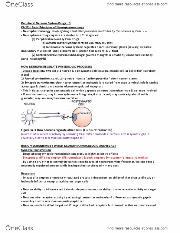 PHA 3112 Chapter 12-13: Clinical Pharmacology Chapter 12 13; Basic Principles of Neuropharmacology & Physiology of the Peripheral System final exam summary notes thumbnail