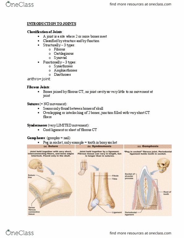 ANP 1106 Lecture Notes - Lecture 4: Synovial Joint, Pubic Symphysis, Hyaline Cartilage thumbnail