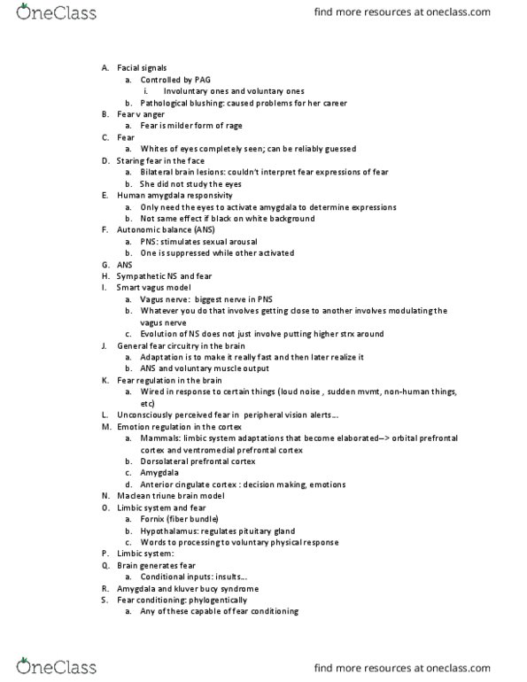 ANT 201 Lecture Notes - Lecture 18: Dorsolateral Prefrontal Cortex, Ventromedial Prefrontal Cortex, Vagus Nerve thumbnail