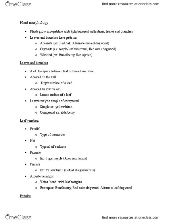 SFR 107 Lecture Notes - Lecture 3: Betula Alleghaniensis, Plant Morphology, Viburnum thumbnail