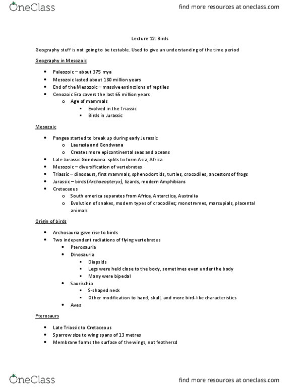 BISC 316 Lecture Notes - Lecture 12: Passerine, Archaeopteryx, Vertebra thumbnail