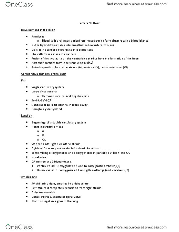 BISC 316 Lecture Notes - Lecture 13: Aortic Arches, Sinus Venosus, Pulmonary Artery thumbnail