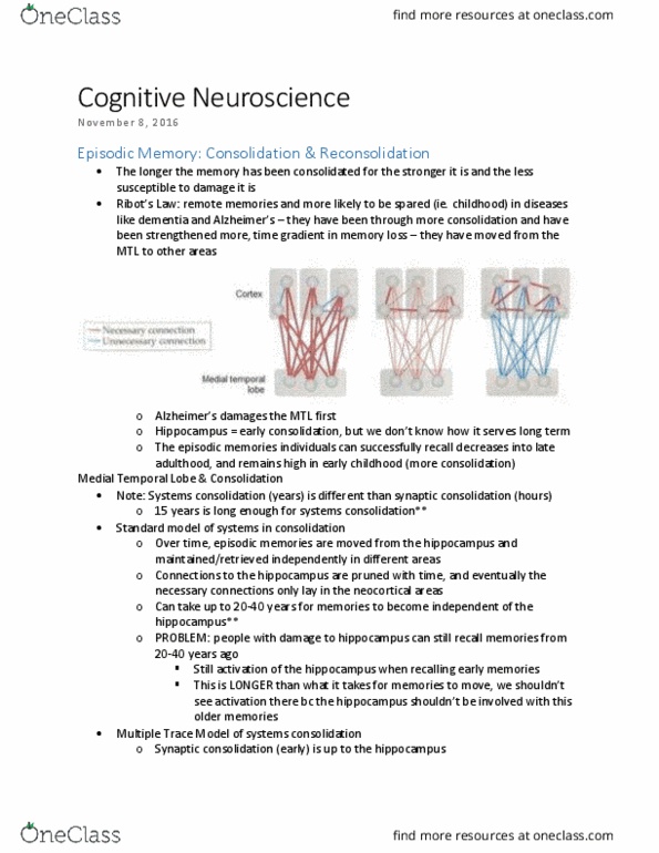 PSYC 4600 Lecture Notes - Lecture 14: Dementia, Episodic Memory, Memory Consolidation thumbnail