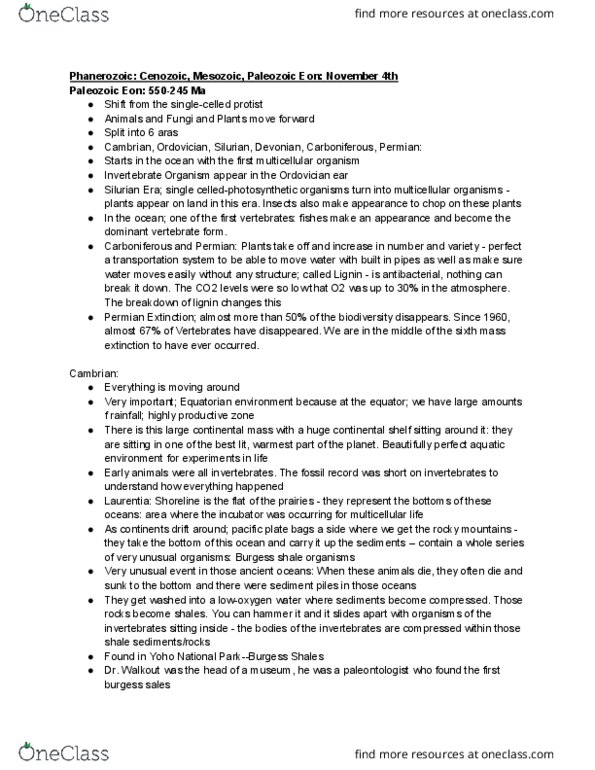 BIO 1130 Lecture Notes - Lecture 1: Nerve Net, Motility, Gastrodermis thumbnail