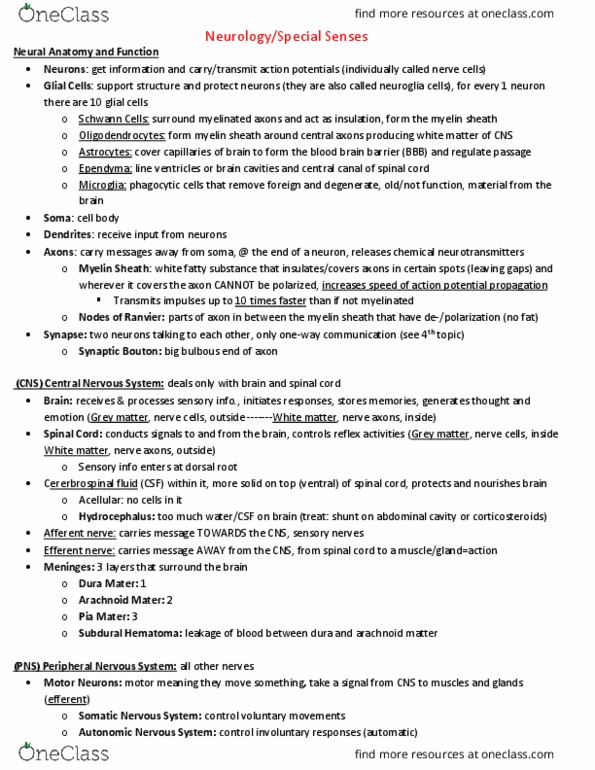 ANSC 23000 Lecture Notes - Lecture 10: Insecticide, Follicular Fluid, Gonadotropin thumbnail