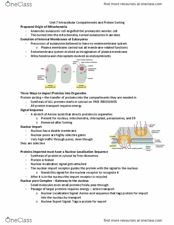 BIOL130 Lecture Notes - Lecture 40: Active Transport, Apoptosis, Tethering thumbnail