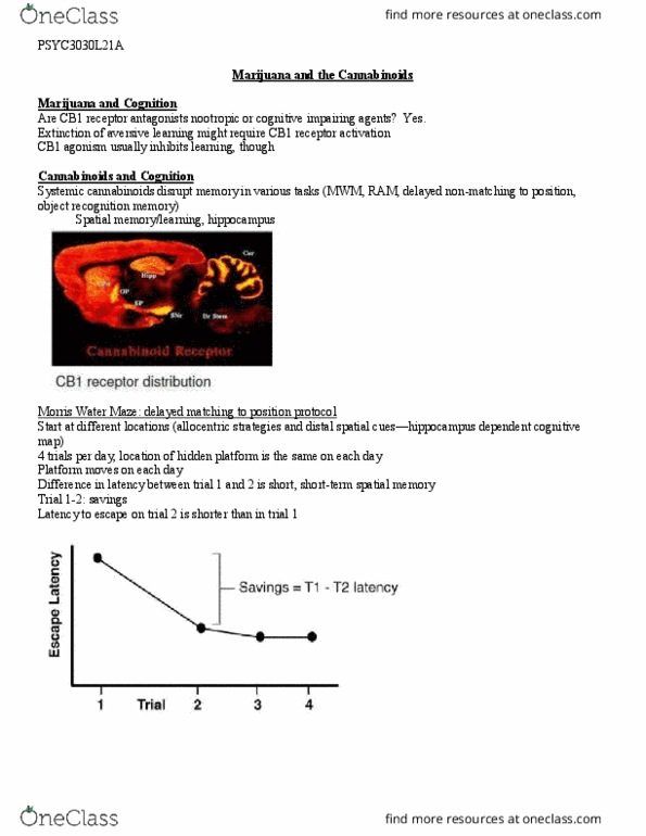 PSYC 3030 Lecture Notes - Lecture 21: Dopaminergic, Opioid Receptor, Naltrexone thumbnail