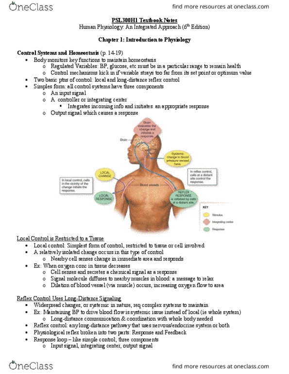 PSL300H1 Chapter Notes - Chapter (All required for MIDTERM 1): Soft Tissue, Sex Organ, Cortical Reaction thumbnail