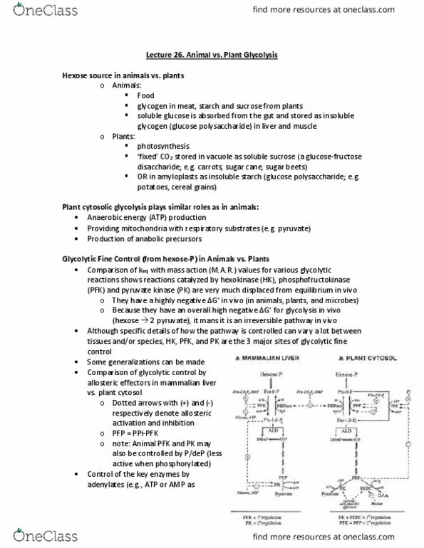 BIOL 334 Lecture Notes - Lecture 27: Malic Acid, Pituitary Gland, Light-Independent Reactions thumbnail