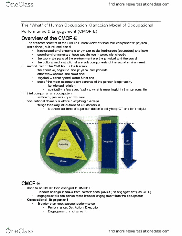 Rehabilitation Sciences 3125A/B Lecture Notes - Lecture 3: Comorbidity, Occupational Therapy, Long-Term Memory thumbnail