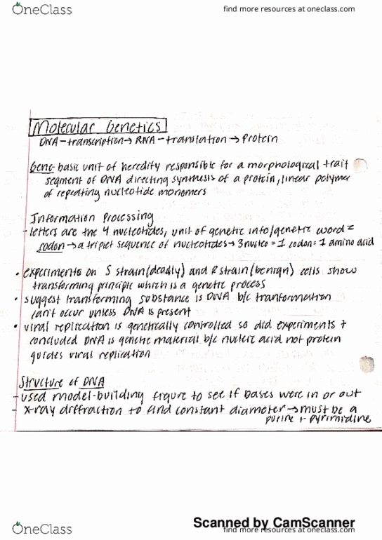 BIL 150 Lecture 16: Molecular Genetics Part 1 thumbnail