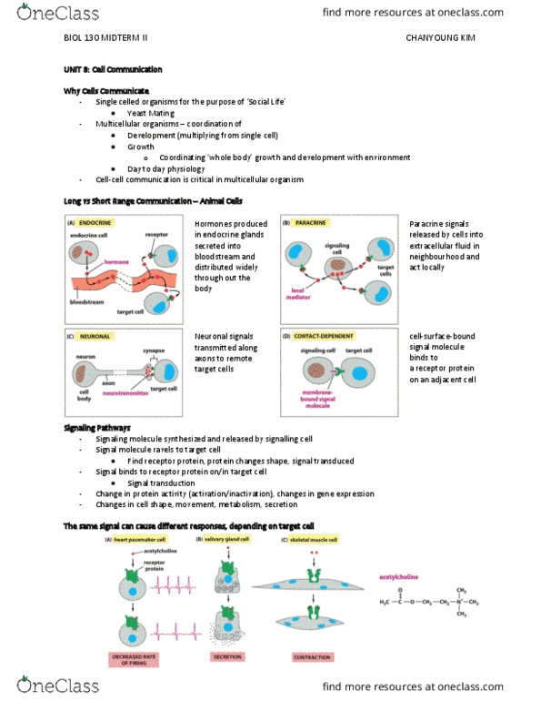 BIOL130 Lecture Notes - Lecture 8: Signal Transduction, Nuclear Receptor, Cell Signaling thumbnail