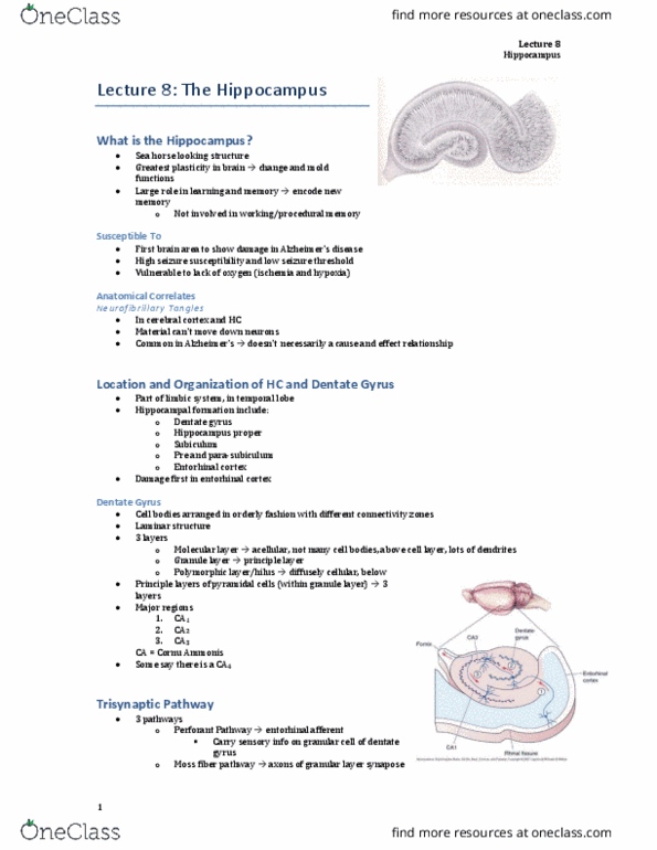 NROB60H3 Lecture Notes - Lecture 8: Spatial Memory, Neurogenesis, Motor Skill thumbnail
