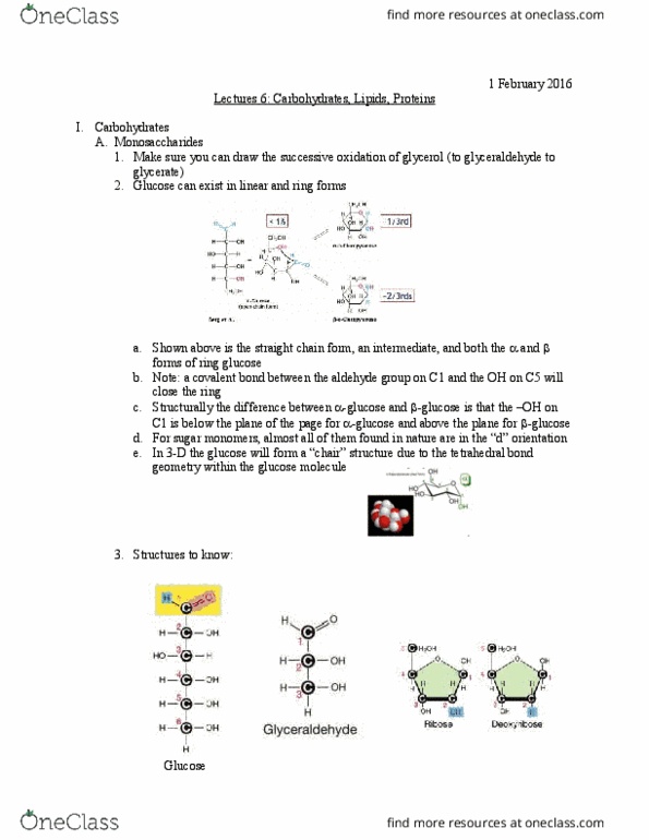 Biology And Biomedical Sciences BIOL 2960 Lecture Notes - Lecture 6: Thyroid Hormones, Isoleucine, Phenylalanine thumbnail