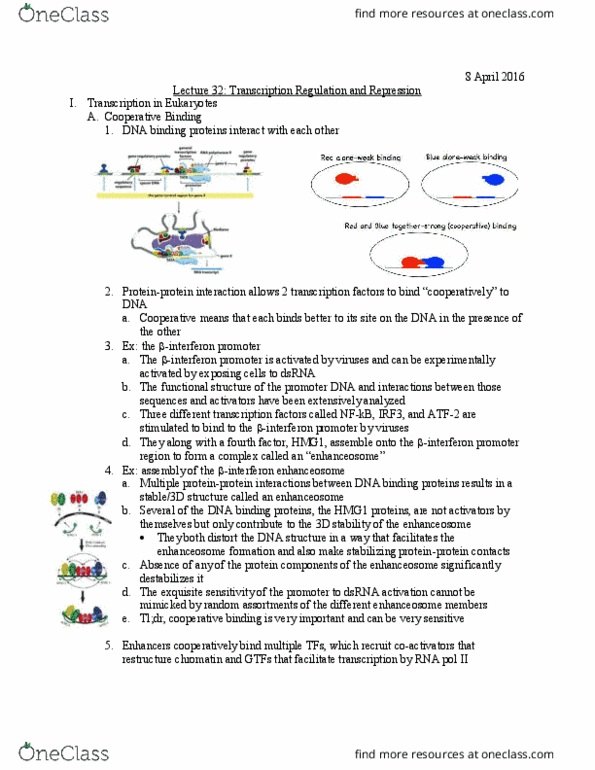 Biology And Biomedical Sciences BIOL 2960 Lecture Notes - Lecture 32: Cytokinesis, Mitosis, Cpg Oligodeoxynucleotide thumbnail