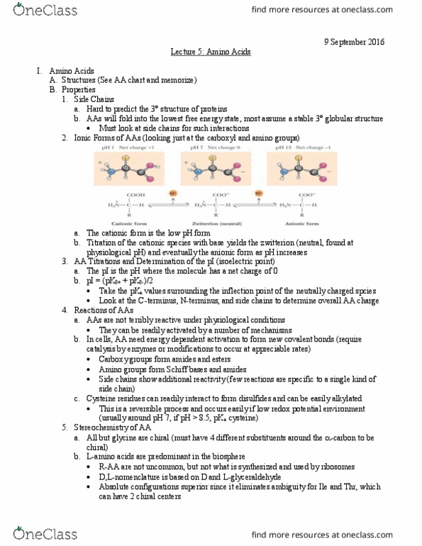 L07 Chem 481 Lecture Notes - Lecture 5: Glyceraldehyde, Isoelectric Point, Selenocysteine thumbnail