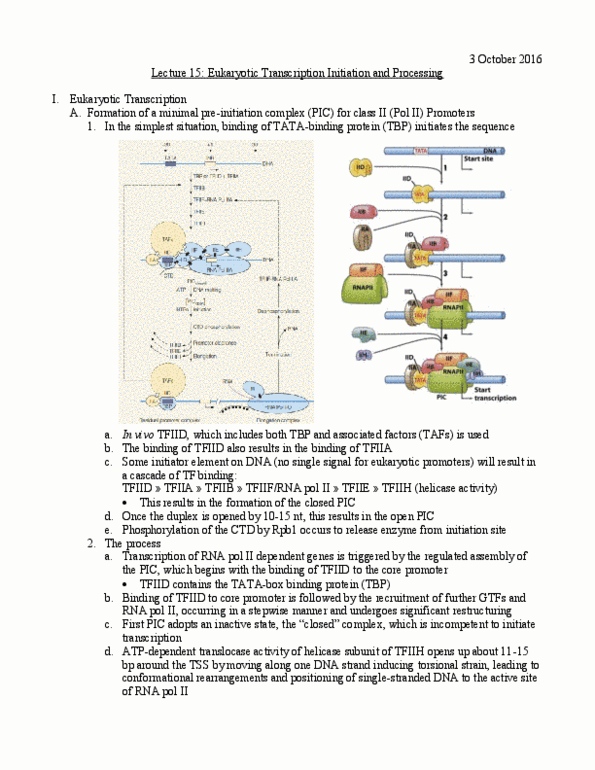 L07 Chem 481 Lecture Notes - Lecture 15: Conformational Change, Cierva C.4, Endonuclease thumbnail