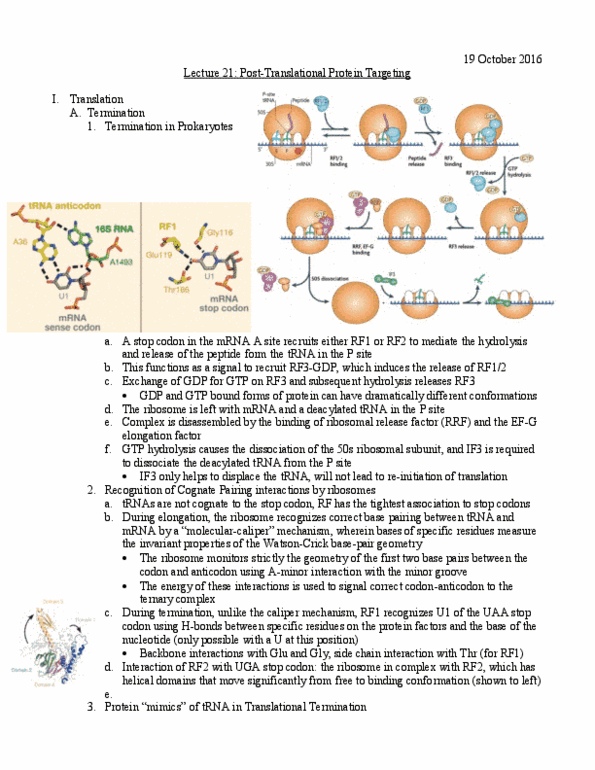 L07 Chem 481 Lecture Notes - Lecture 21: Protein Precursor, Translocon, Nuclear Pore thumbnail