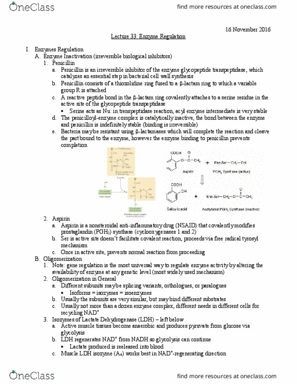L07 Chem 481 Lecture Notes - Lecture 33: Phosphotransferase, Glycogen Phosphorylase, Carbamoyl Phosphate Synthetase thumbnail
