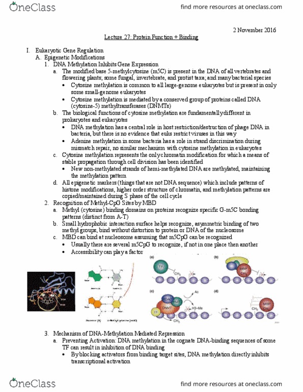 L07 Chem 481 Lecture Notes - Lecture 27: Rheumatoid Arthritis, Pharmaceutical Industry, Immunoglobulin Light Chain thumbnail