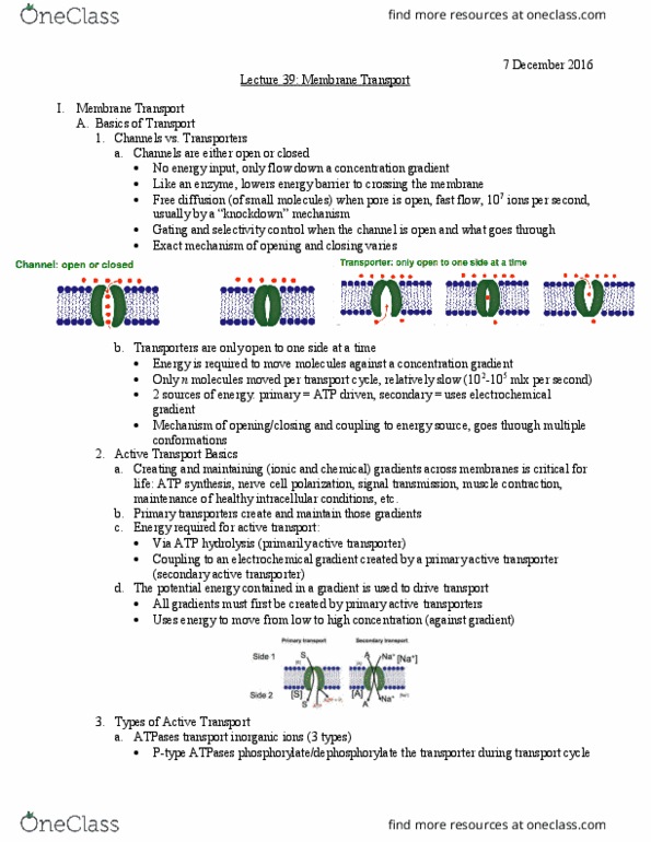 L07 Chem 481 Lecture Notes - Lecture 39: Serca, Chemotherapy, Transition-Minimized Differential Signaling thumbnail